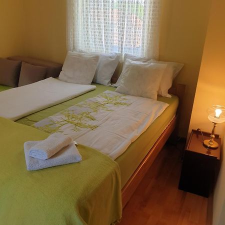 Apartman Sasa Banja Koviljača Zewnętrze zdjęcie