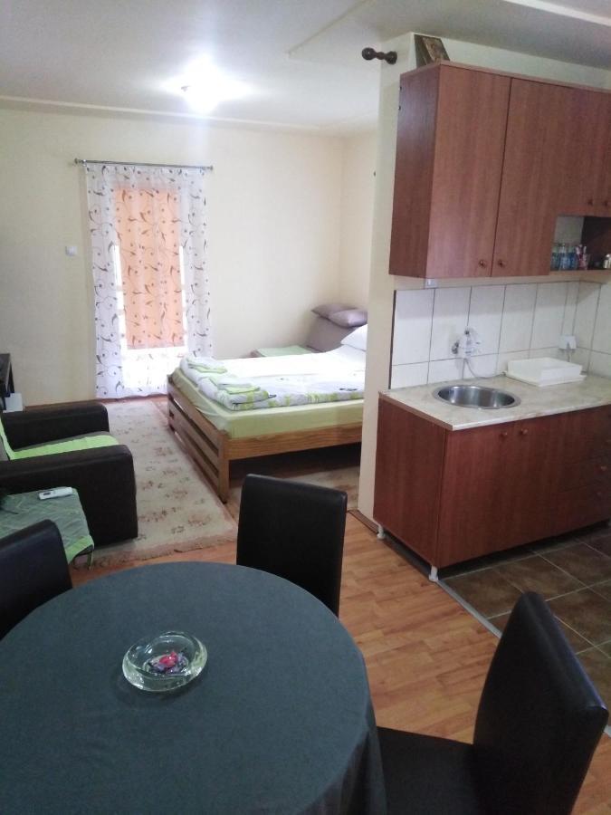 Apartman Sasa Banja Koviljača Zewnętrze zdjęcie