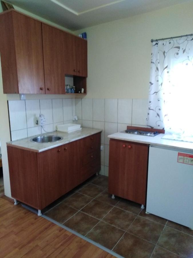 Apartman Sasa Banja Koviljača Zewnętrze zdjęcie