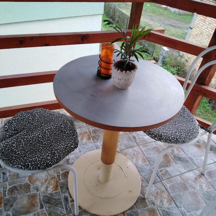 Apartman Sasa Banja Koviljača Zewnętrze zdjęcie