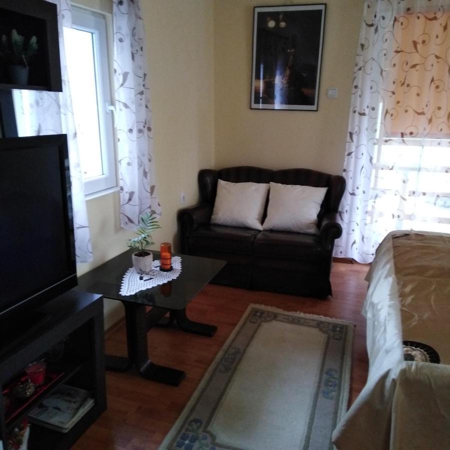 Apartman Sasa Banja Koviljača Zewnętrze zdjęcie